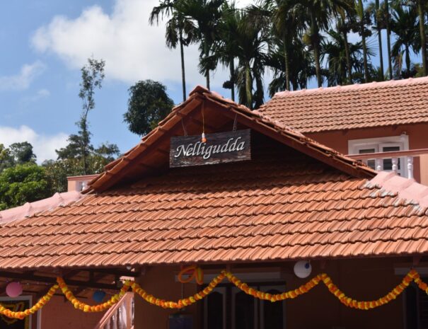 photo6152477408582806092